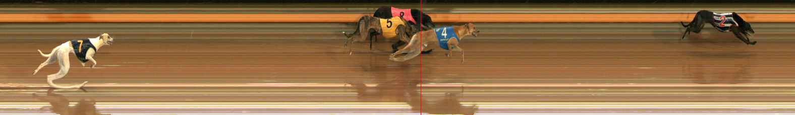 Race result finish photo